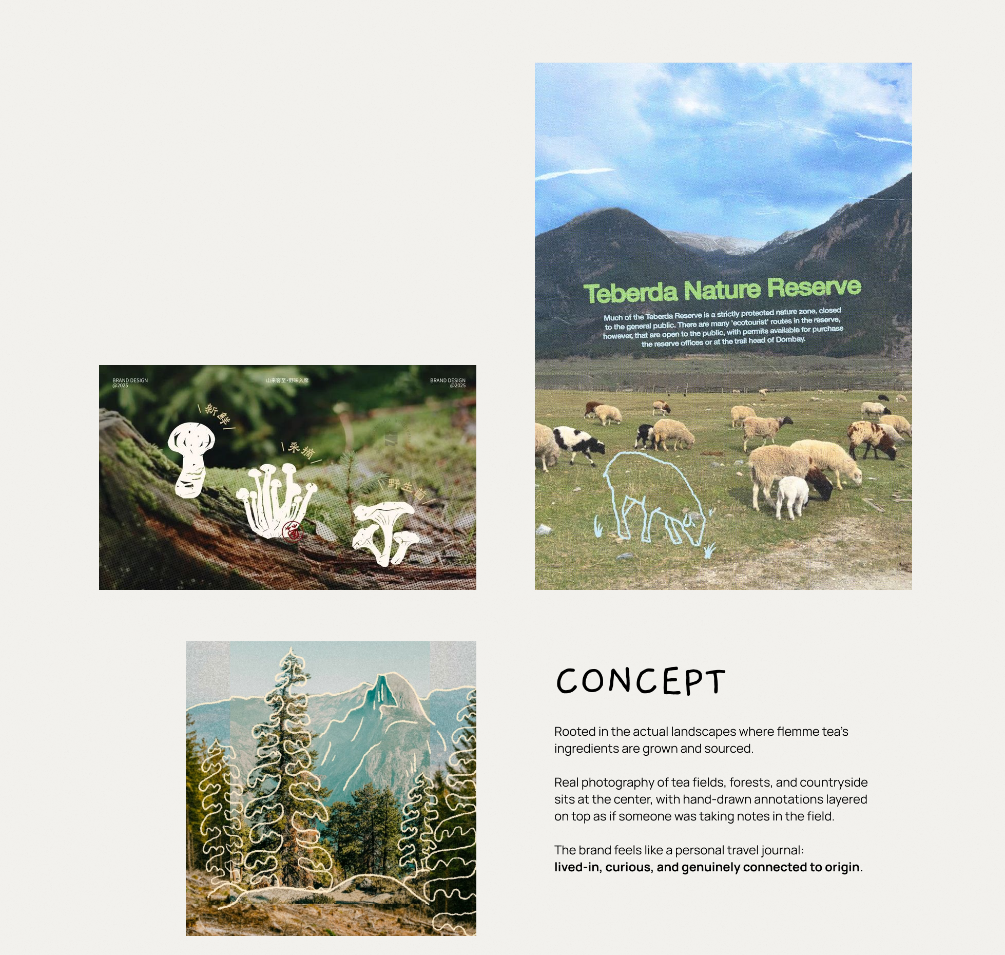 Supplied reference board showing photographs layered with illustration